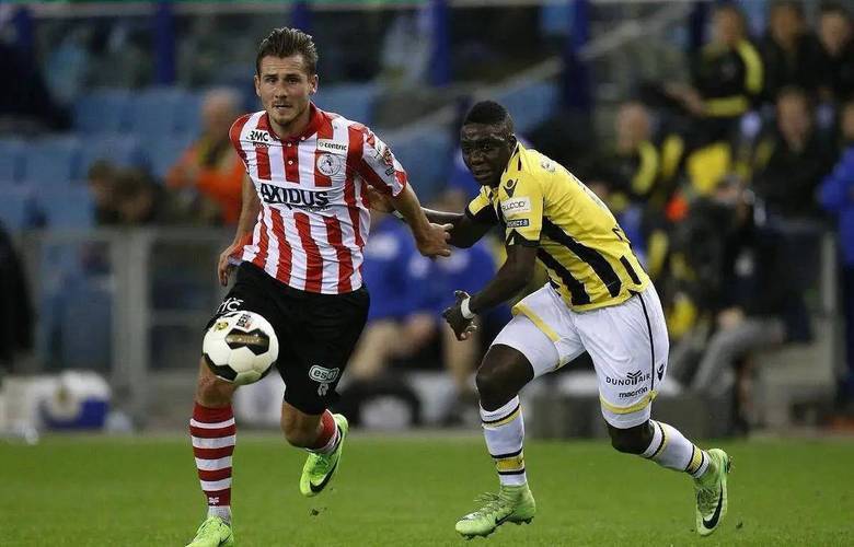 成了极高质 成了极高质